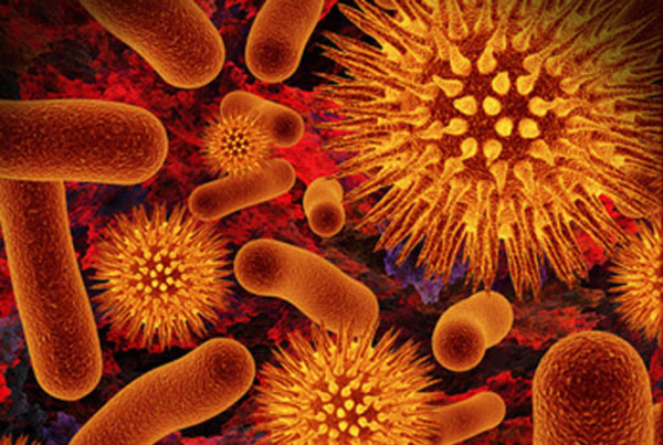 Image credit: http://www.genengnews.com/media/images/GENHighlight/UGENWebsitepicturesTopStoriesDec2010Dec7_2010_4688826_CellsAntigensOrange_LifeTechPathoFinderRespVirus1833320178.jpg