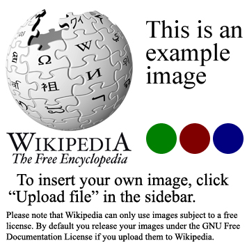 example.jpg