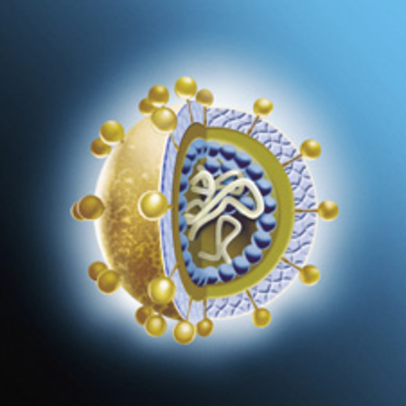Image credit: http://www.bbc.co.uk/schools/gcsebitesize/science/images/spl_hepatitis_c_virus.jpg