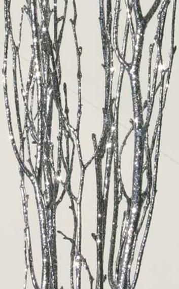 branch_cover2.jpg