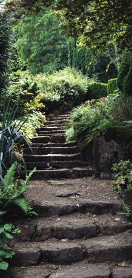 path1.jpg
