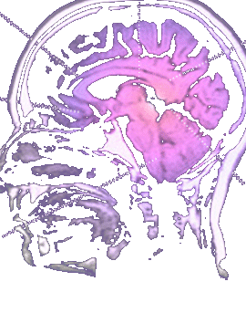 stimulate_brain.gif