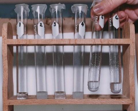 experiment4.jpg