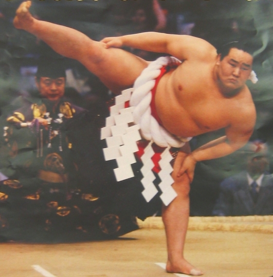 sumo.jpg