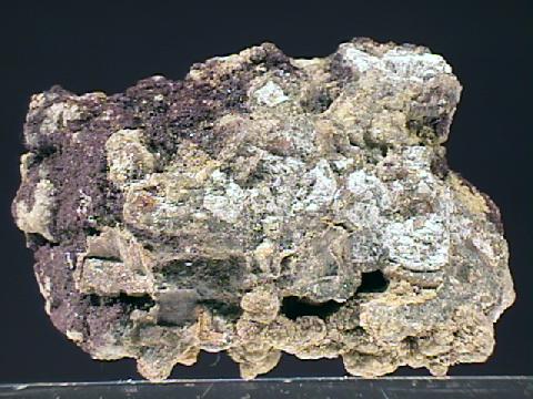 selenium.jpg
