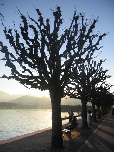 i01.jpg